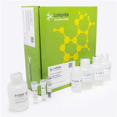 lumiprobe代理商艾美捷 lumiprobe lumimag基因组dna血液和口腔试剂盒