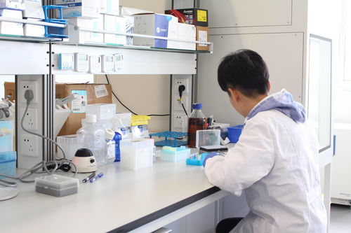 瞄准自身免疫与代谢类疾病临床用药空白, 和度生物 开发基因工程细菌活体药物